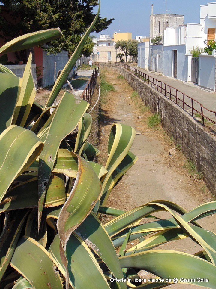 San Pietro Vernotico (BR) - Luoghi simbolo della cittadina pugliese - Memoria Storica